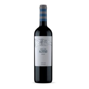 Andeluna Altitud Merlot