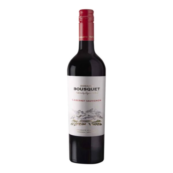 Domaine Bousquet Premium Cabernet Sauvignon Orgánico Valle de Uco 750ml