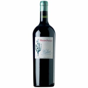 Yacochuya Malbec 2022