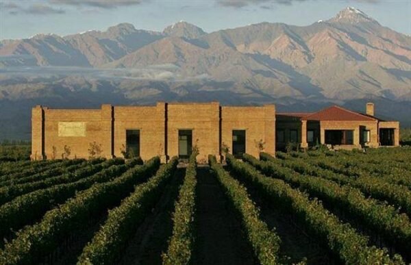 ANDELUNA Blanc de Franc Cartier 2022 - Imagen 2