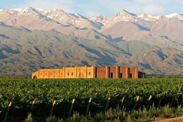 ANDELUNA Blanc de Franc Cartier 2022 - Imagen 3